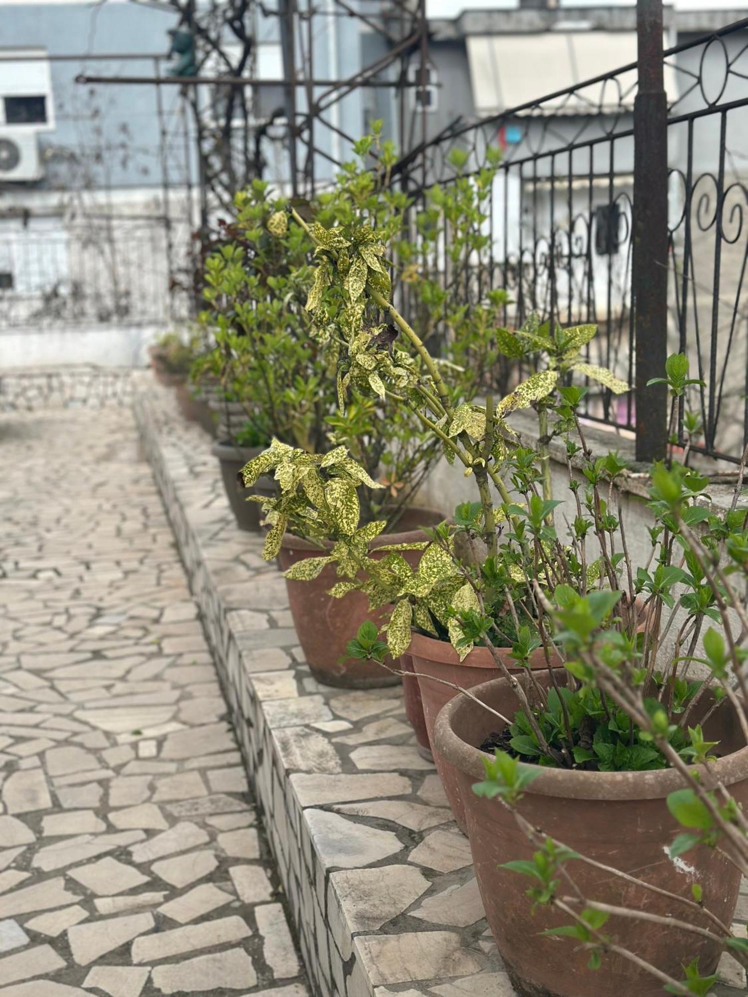 Apartment Braho