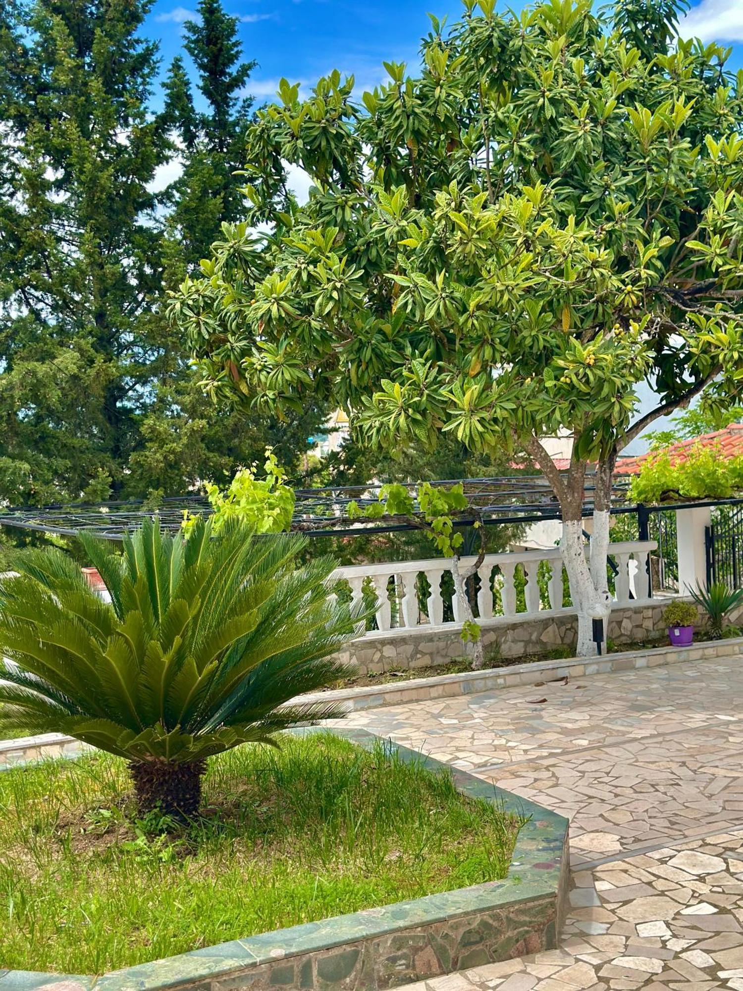Braho * Gjirokaster